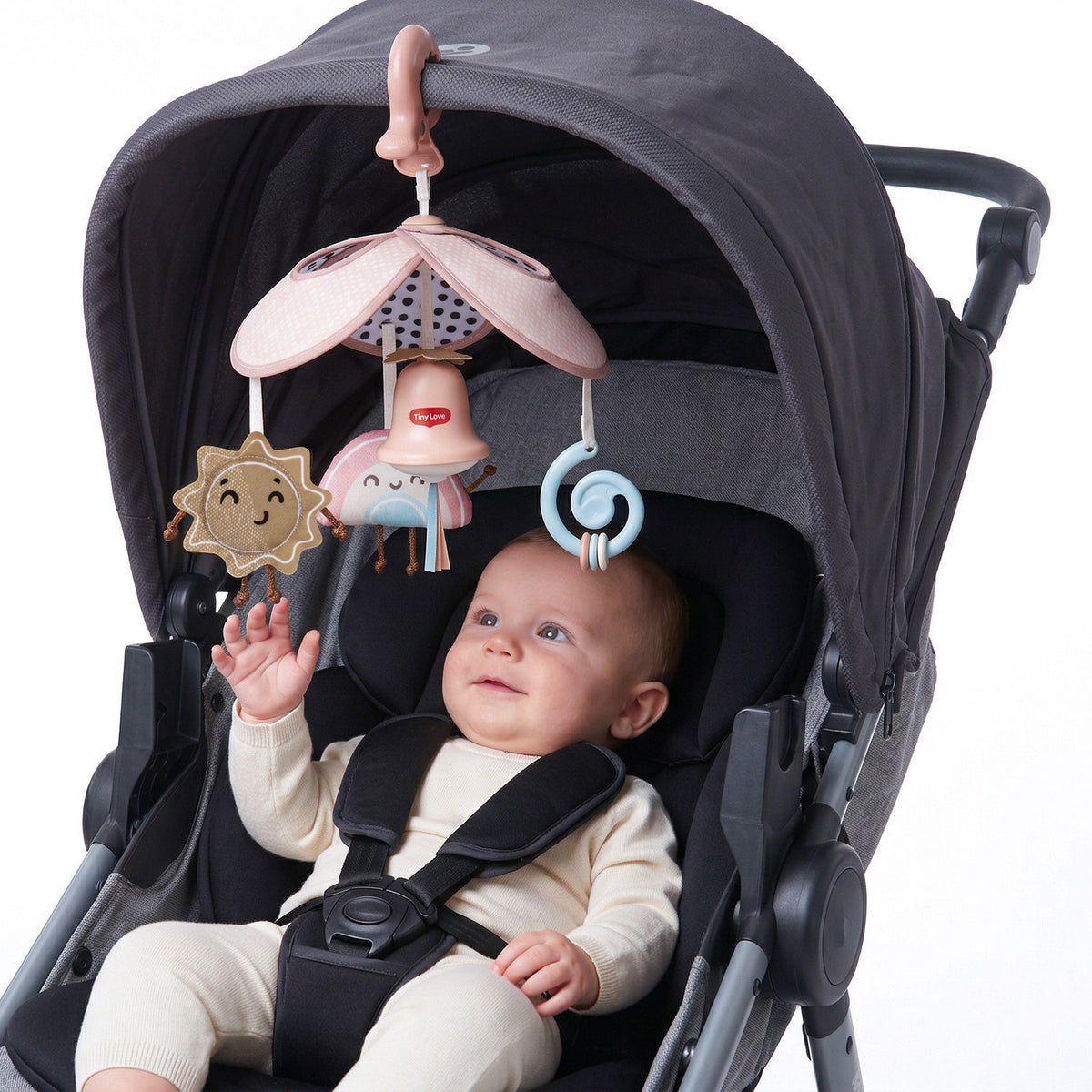 Wonderlands Collection - IMP02772