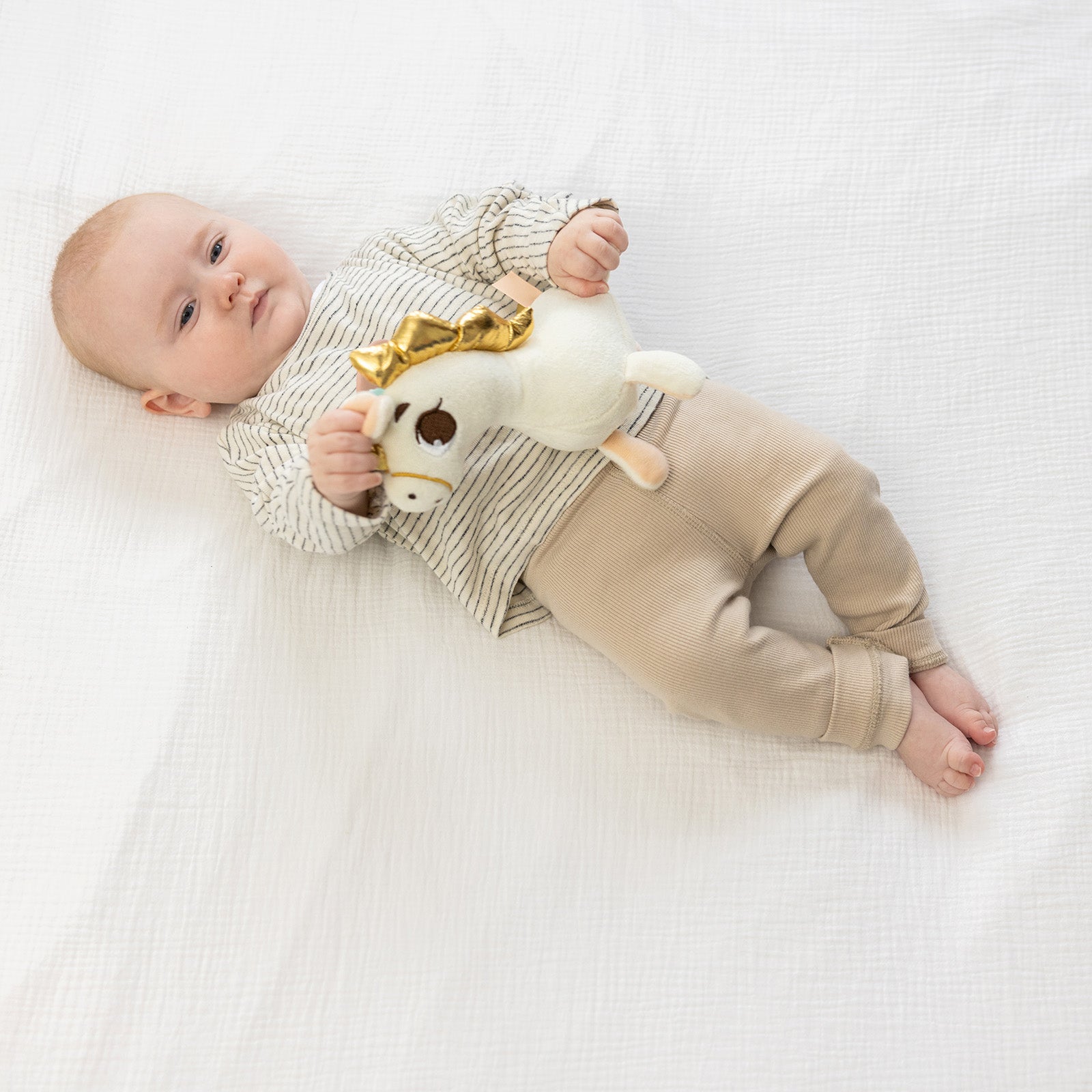 Wonderlands Collection - IMP02690