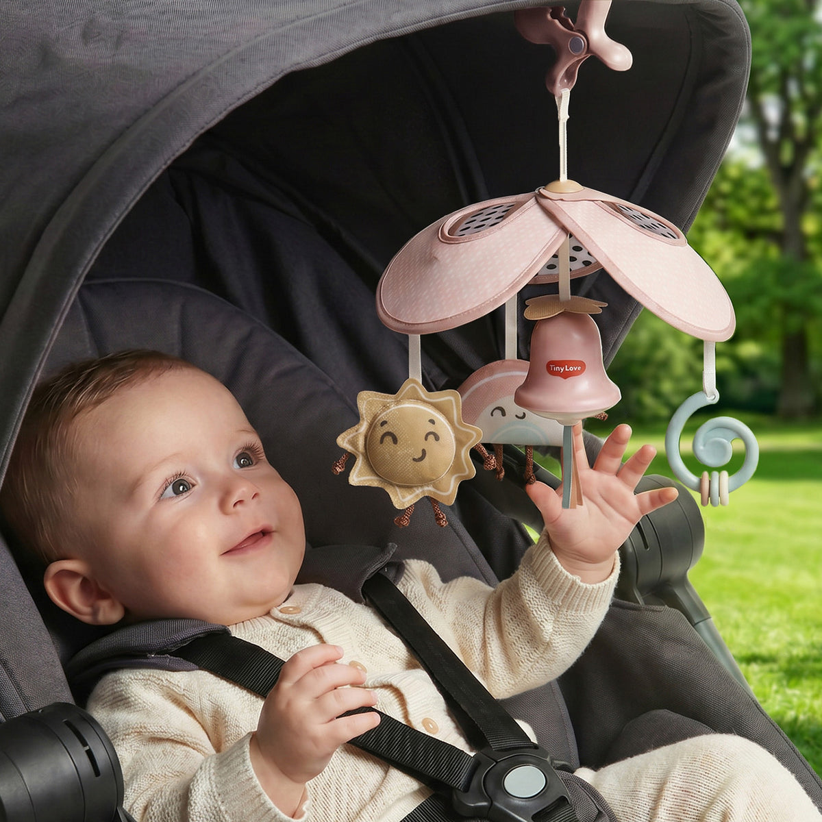 Wonderlands Collection - IMP02772