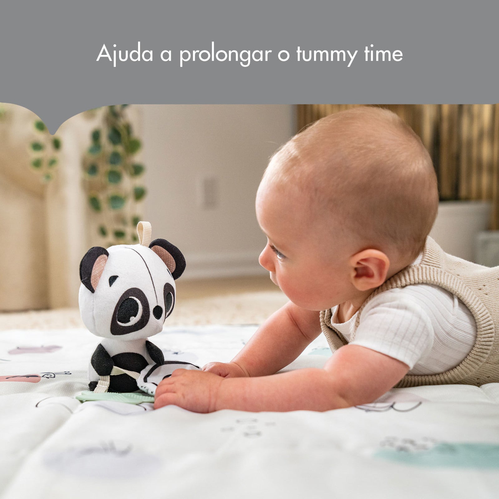 Black & White Decor - IMP02443