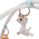 Wonderlands Collection - IMP02689