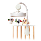 Boho Chic - IMP02266